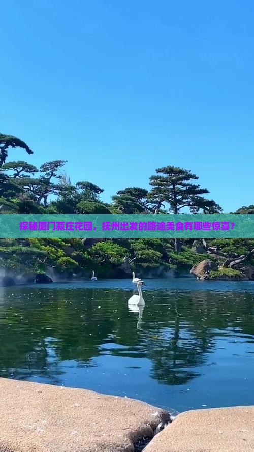 探秘厦门菽庄花园，抚州出发的路途美食有哪些惊喜？
