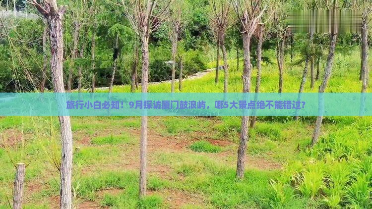 旅行小白必知！9月探访厦门鼓浪屿，哪5大景点绝不能错过？