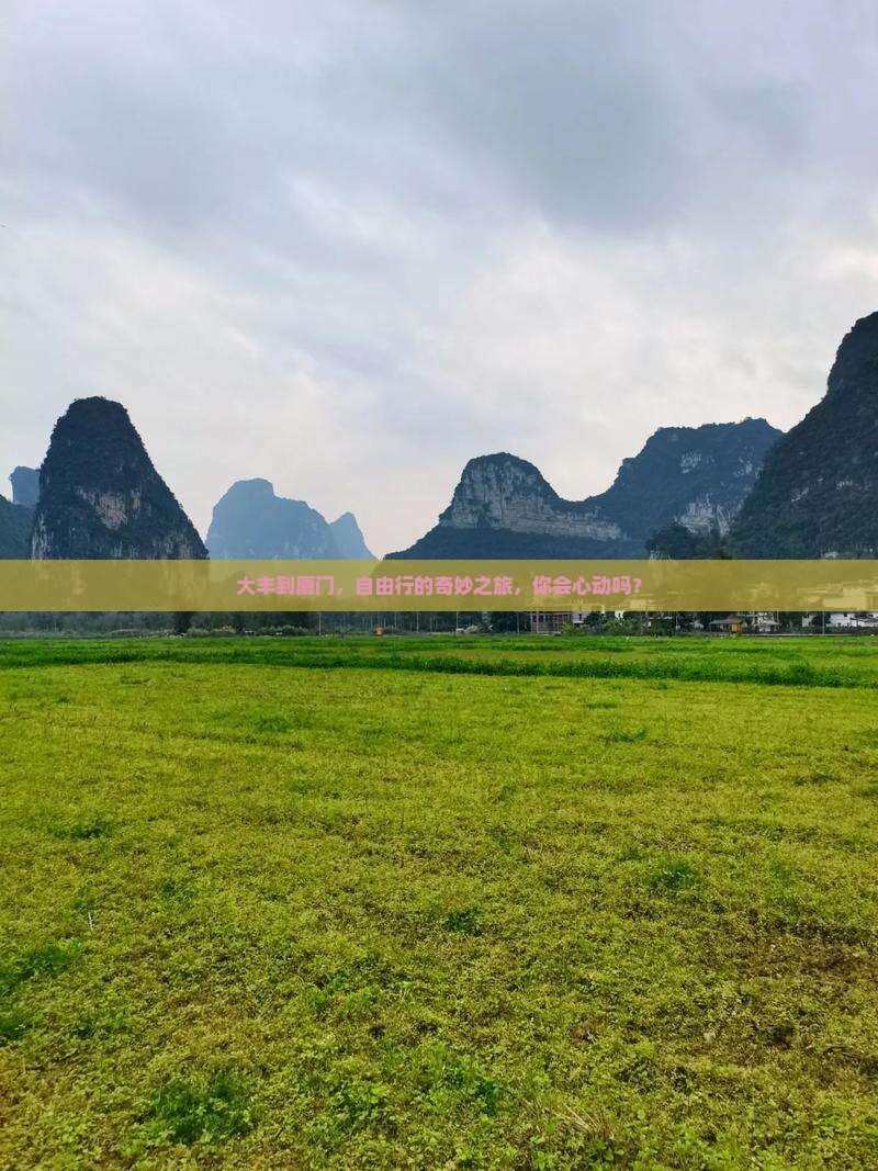大丰到厦门，自由行的奇妙之旅，你会心动吗？