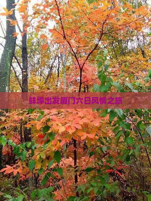 蚌埠出发厦门六日风情之旅