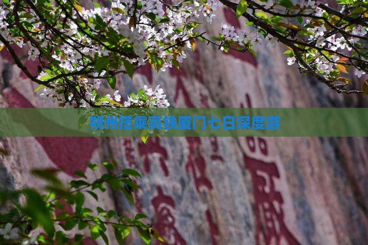 朔州搭乘高铁厦门七日深度游