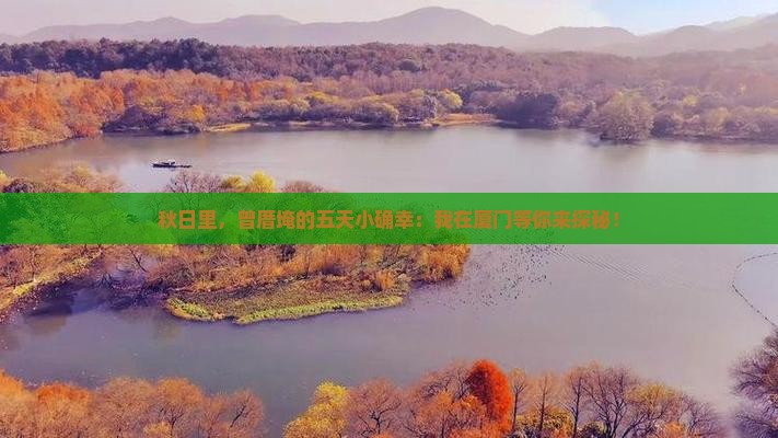 秋日里，曾厝埯的五天小确幸：我在厦门等你来探秘！