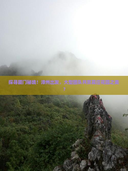 探寻厦门秘境！漳州出发，大型团队共赏菽庄花园之美？