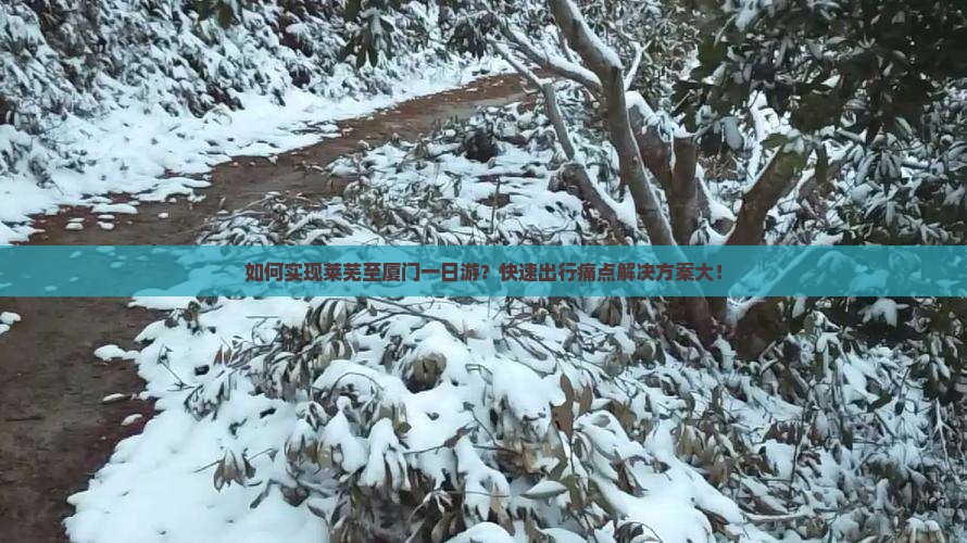 如何实现莱芜至厦门一日游？快速出行痛点解决方案大！