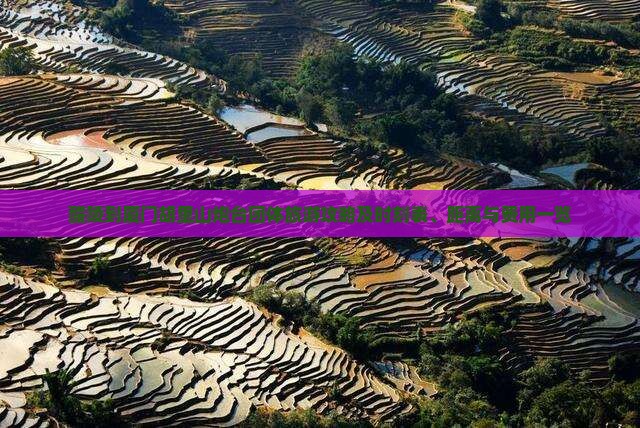 醴陵到厦门胡里山炮台团体旅游攻略及时刻表、距离与费用一览
