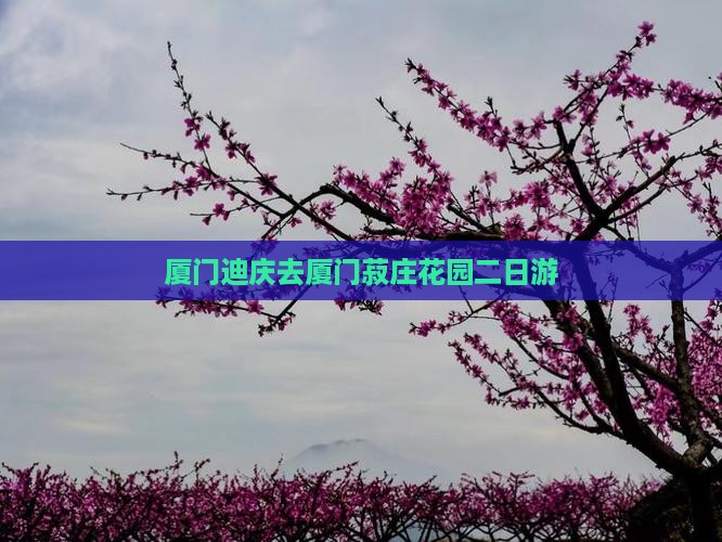 厦门迪庆去厦门菽庄花园二日游