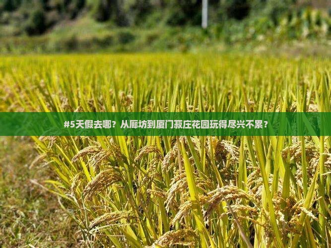 #5天假去哪?从廊坊到厦门菽庄花园玩得尽兴不累? #5天假去哪?从廊坊到厦门菽庄花园玩得尽兴不累?