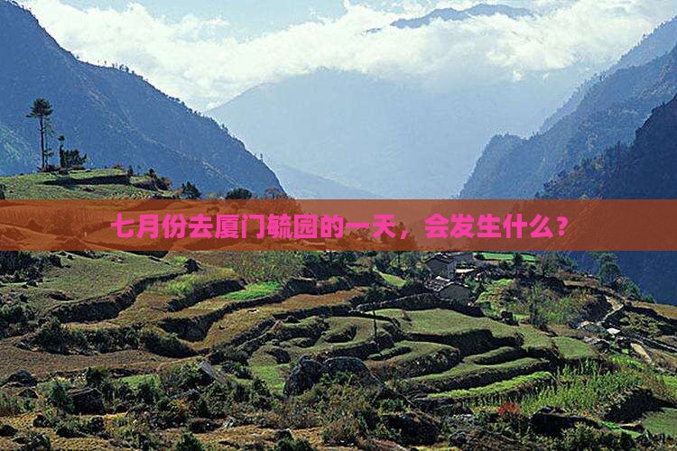 七月份去厦门毓园的一天，会发生什么？