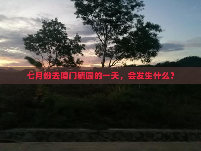 七月份去厦门毓园的一天，会发生什么？