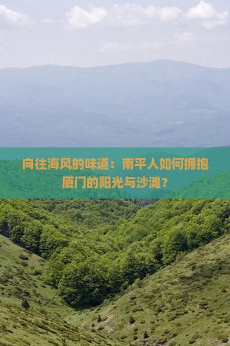 向往海风的味道：南平人如何拥抱厦门的阳光与沙滩？