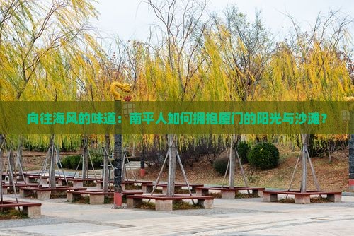 向往海风的味道：南平人如何拥抱厦门的阳光与沙滩？