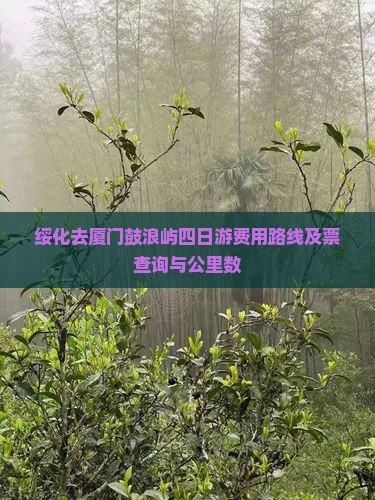 绥化去厦门鼓浪屿四日游费用路线及票查询与公里数