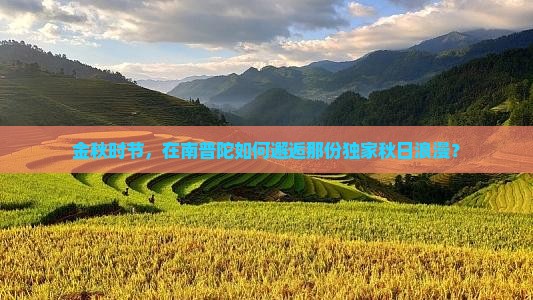 金秋时节，在南普陀如何邂逅那份独家秋日浪漫？
