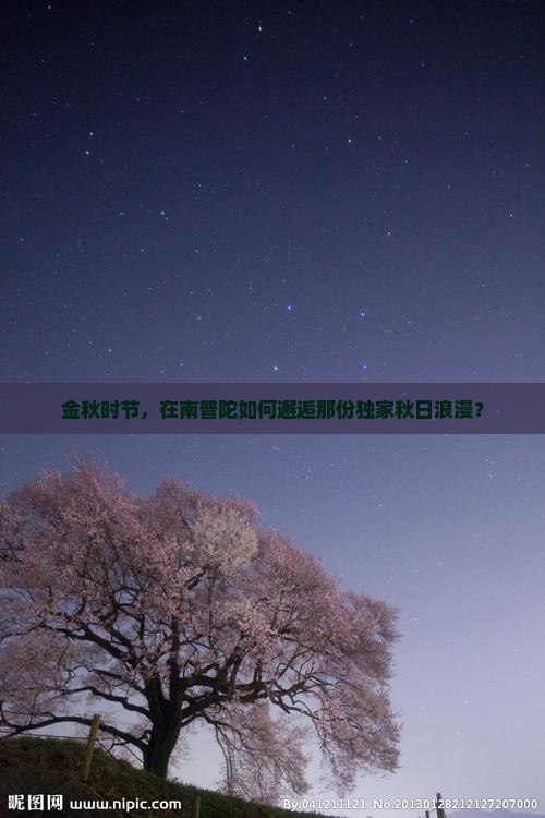 金秋时节，在南普陀如何邂逅那份独家秋日浪漫？