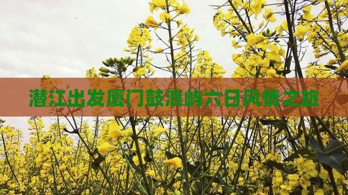 潜江出发厦门鼓浪屿六日风情之旅