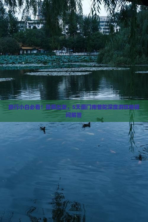 旅行小白必看！昆明出发，5天厦门南普陀深度游攻略疑问解答