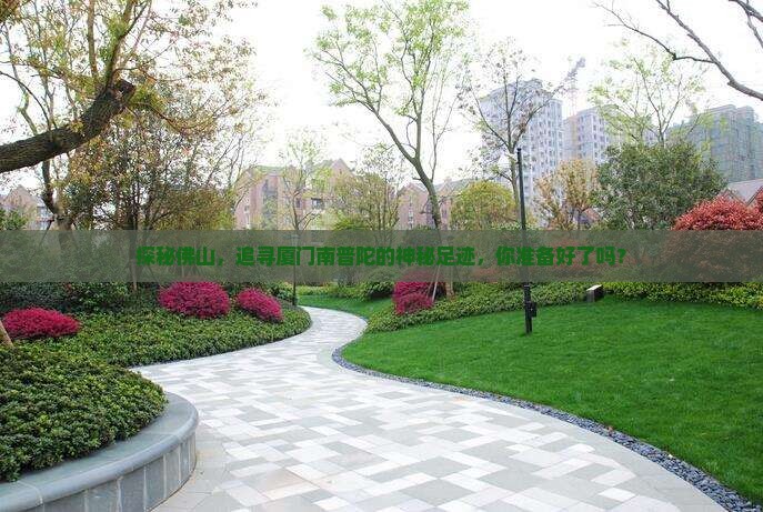 探秘佛山，追寻厦门南普陀的神秘足迹，你准备好了吗？