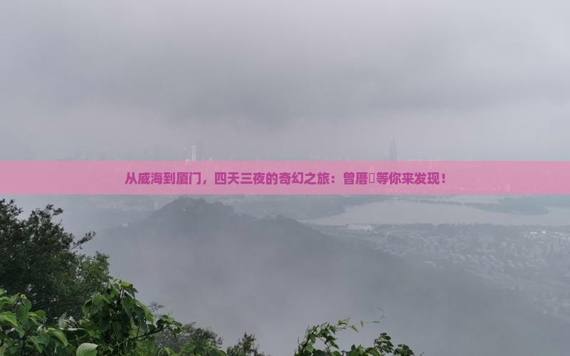 威海到厦门曾厝埯四日游