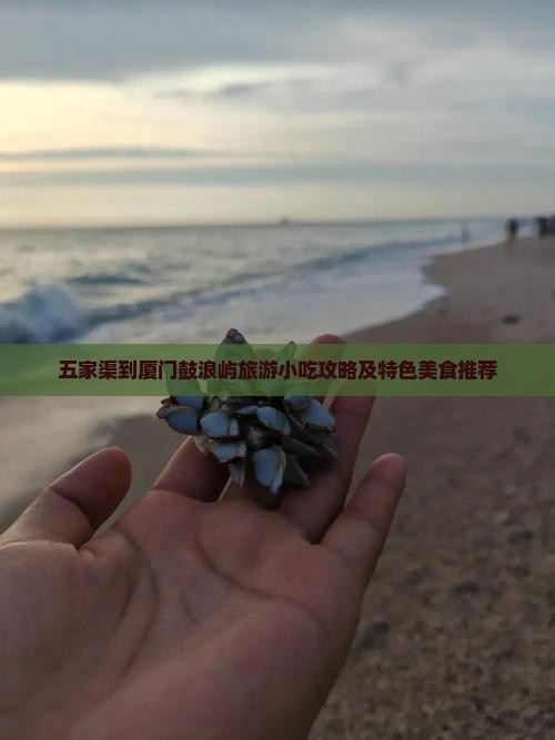 五家渠到厦门鼓浪屿旅游小吃