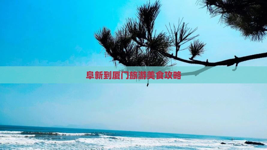 阜新到厦门旅游小吃