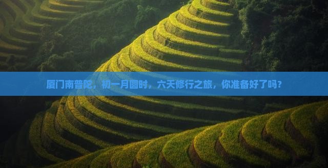 一月到厦门南普陀六日游