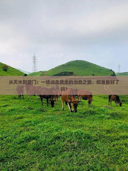 天水到厦门攻略