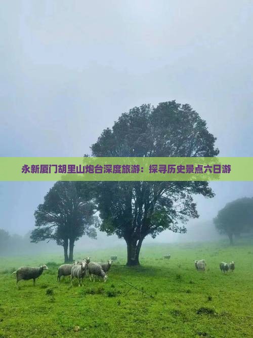 永新去厦门胡里山炮台六日游