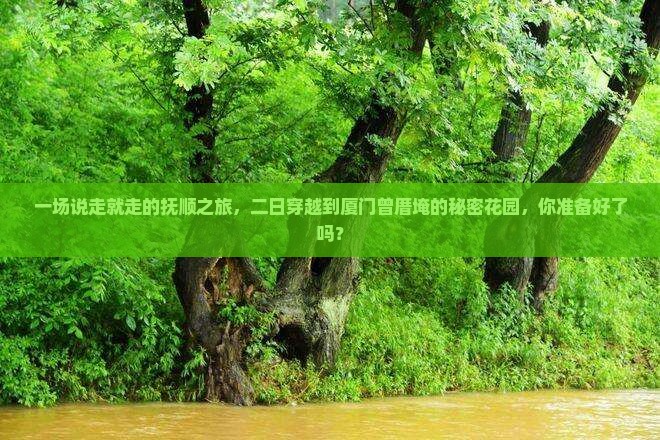 抚顺到厦门曾厝埯二日游