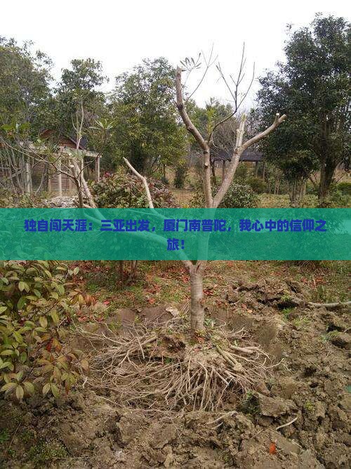 三亚到厦门南普陀个人游
