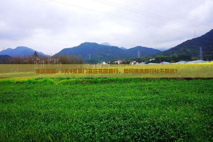 塔城到厦门菽庄花园旅行社