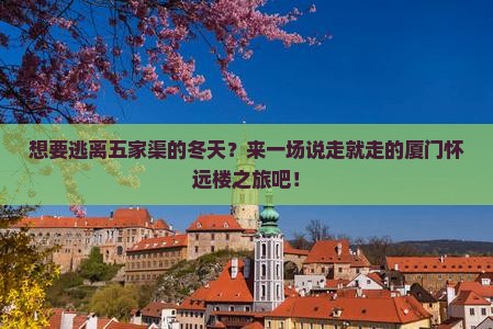 五家渠去厦门怀远楼旅行社