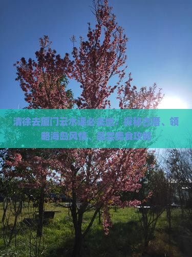 清徐去厦门云水谣必去地
