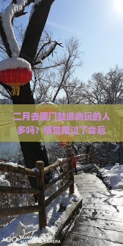 二月到厦门鼓浪屿团体旅游