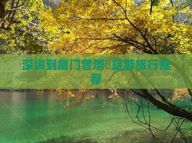 深圳到厦门曾厝埯旅行社