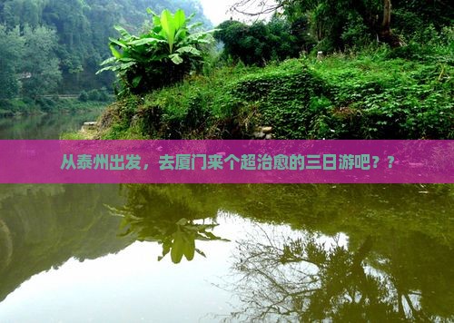 泰州去厦门三日游