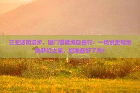 三亚到厦门曾厝埯自由团