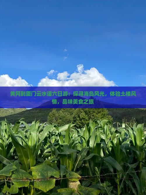 黄冈到厦门云水谣六日游
