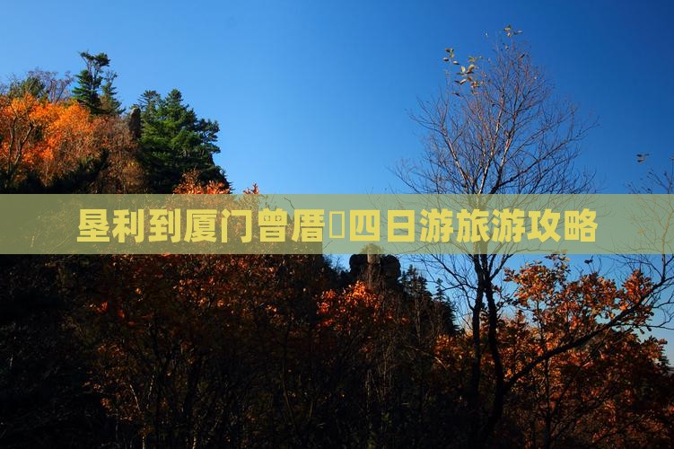 垦利到厦门曾厝埯四日游