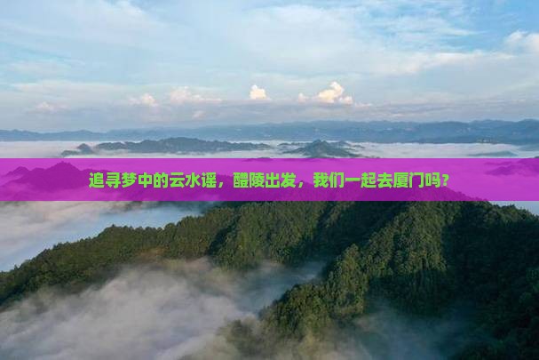 醴陵到厦门云水谣旅行社