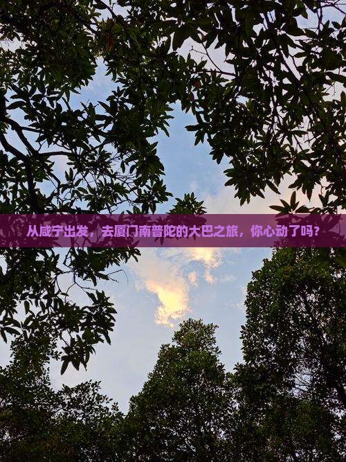 咸宁去厦门南普陀大型旅游团 咸宁去厦门南普陀大型旅游团