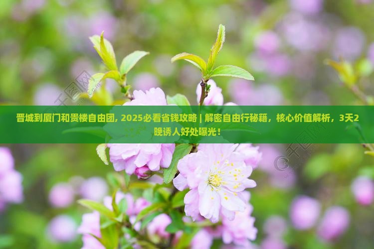 晋城到厦门和贵楼自由团