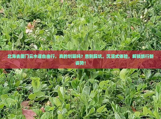 北海去厦门云水谣自由行