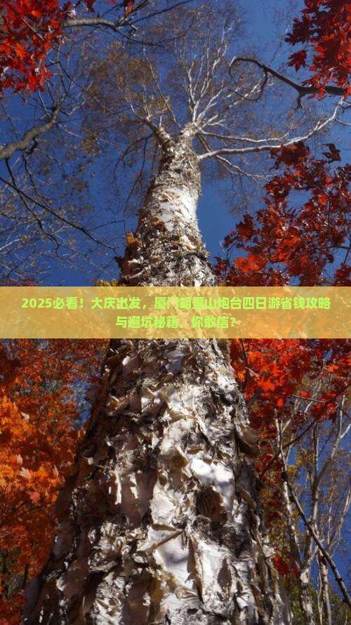 大庆到厦门胡里山炮台四日游