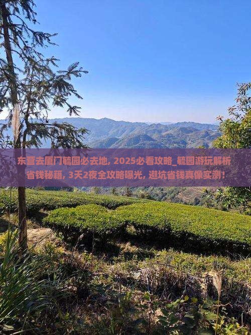 东营去厦门毓园必去地