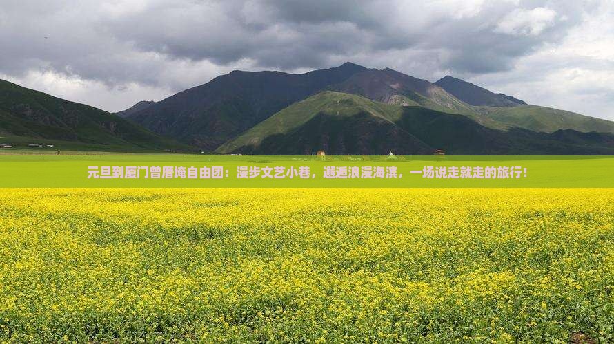 元旦到厦门曾厝埯自由团