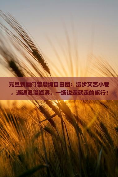 元旦到厦门曾厝埯自由团