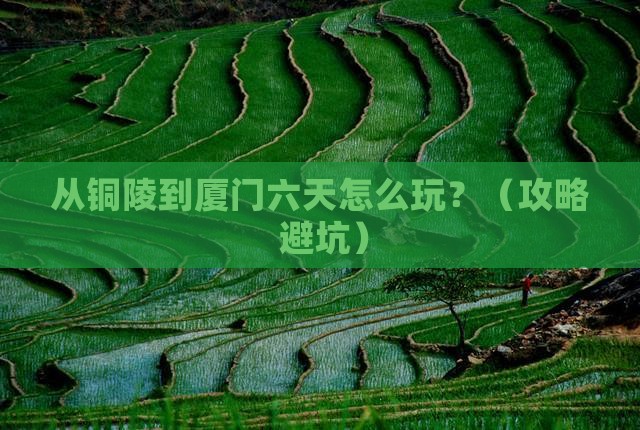 铜陵到厦门六日游