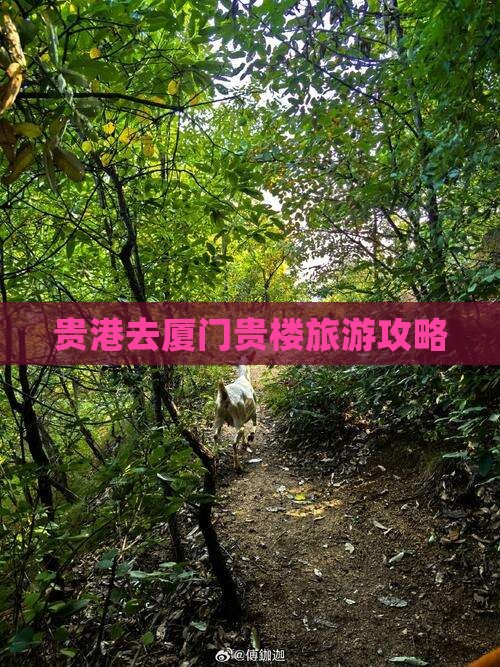 贵港去厦门和贵楼团体旅游