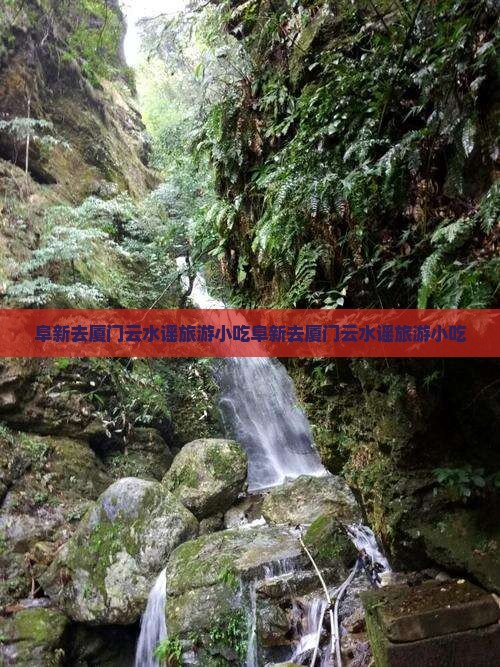 阜新去厦门云水谣旅游小吃
