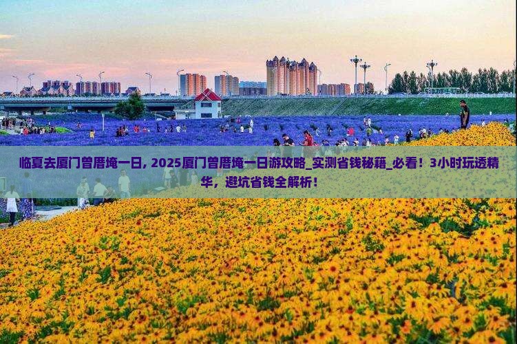 临夏去厦门曾厝埯一日